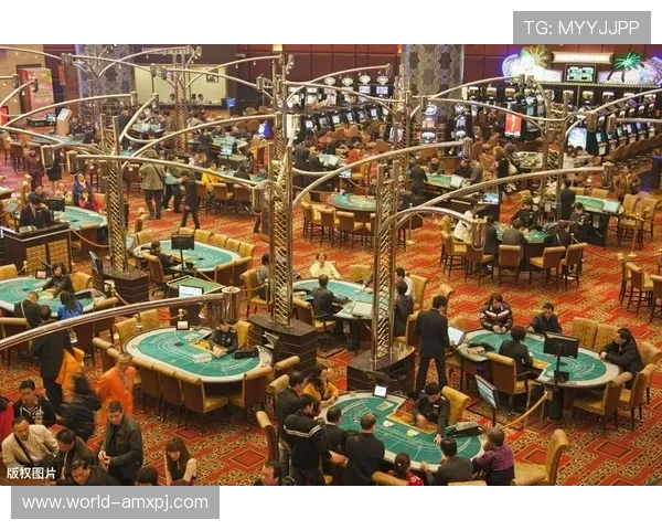 探索澳门新葡京：知名赌场、精彩表演和高端餐饮的综合体验指南